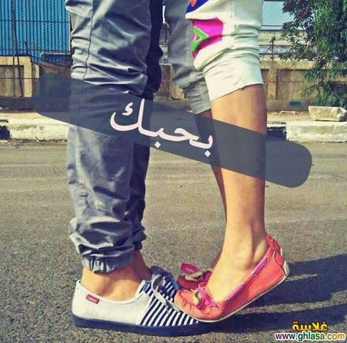  bntpal.com_145433346