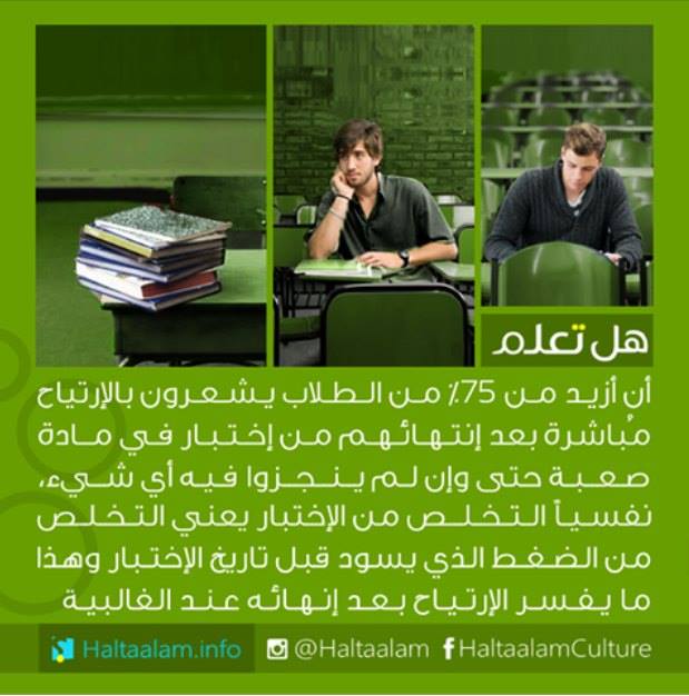  bntpal.com_145449062