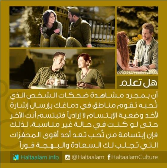  bntpal.com_145449062