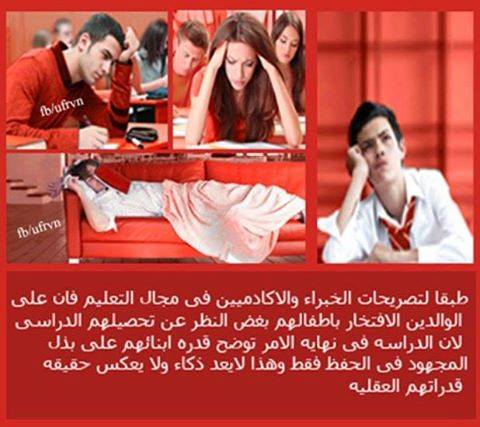  bntpal.com_145449062