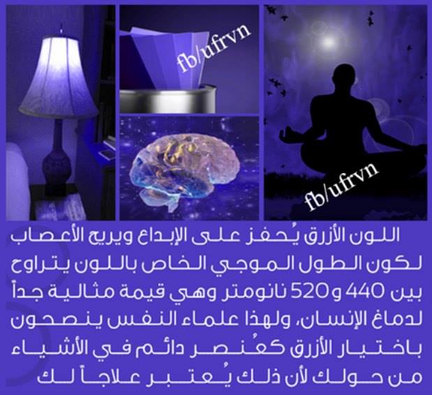  bntpal.com_145449062