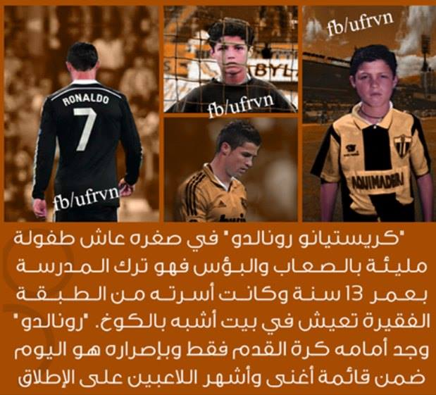  bntpal.com_145449062