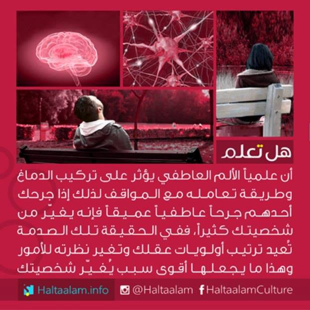  bntpal.com_145449062