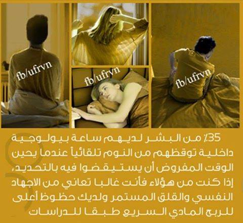  bntpal.com_145449062