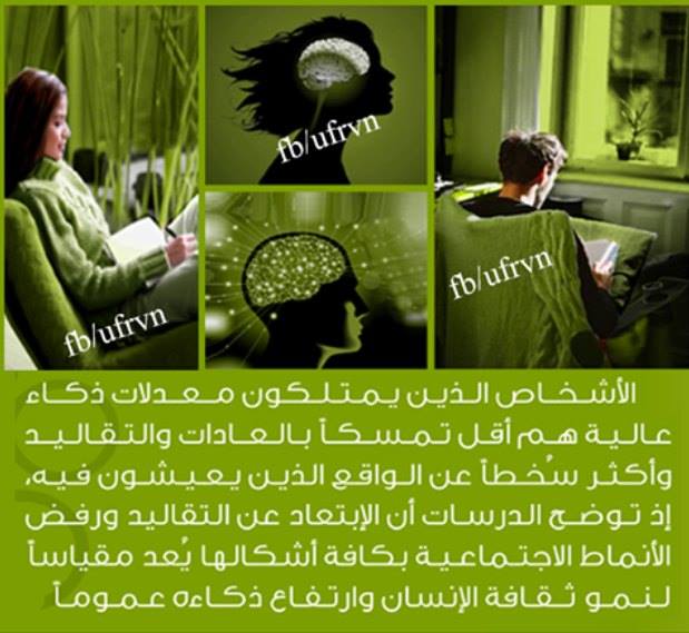  bntpal.com_145449062