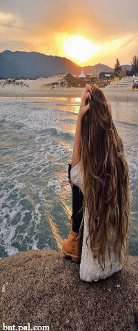  bntpal.com_145449164