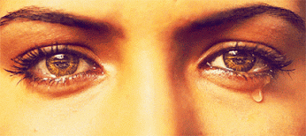tr13.gif