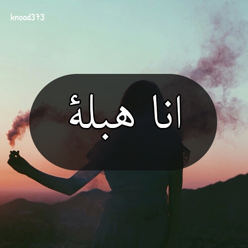  bntpal.com_145462050