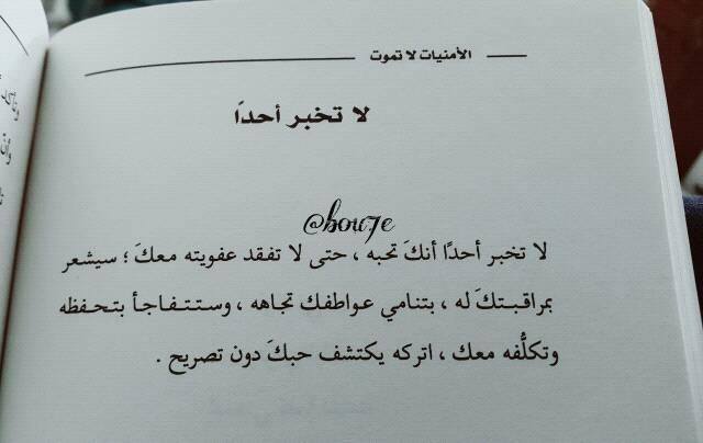 bntpal.com_145466205