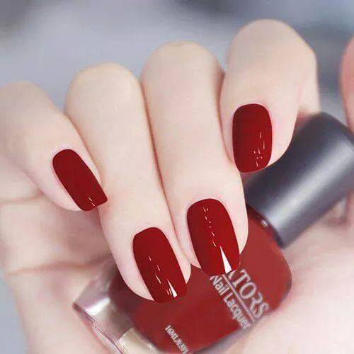  bntpal.com_145476711