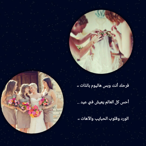  bntpal.com_145478883