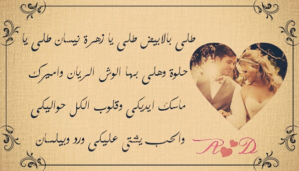  bntpal.com_145478883