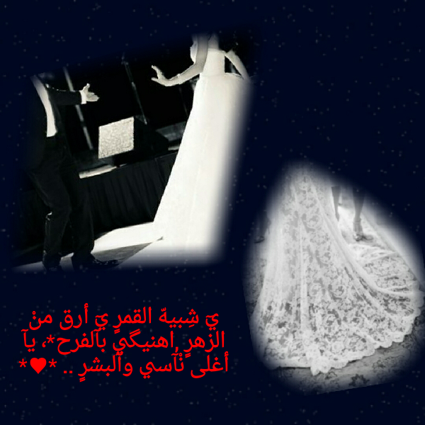  bntpal.com_145478883