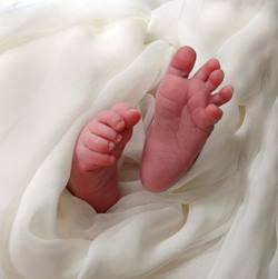 ♥♥ bntpal.com_145500998