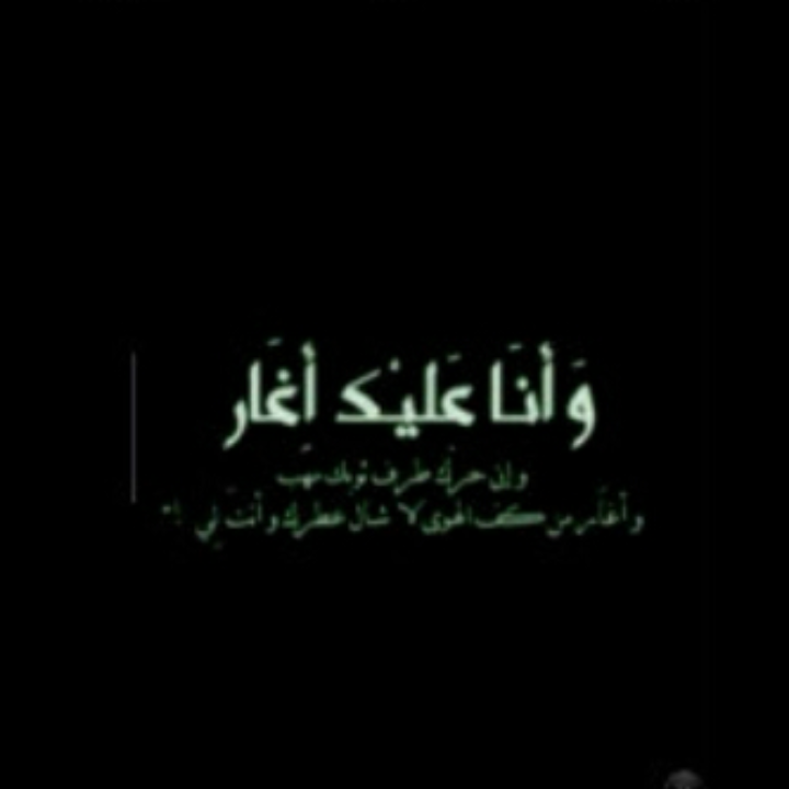 bntpal.com_145505216