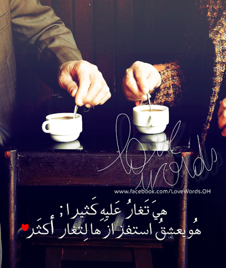 bntpal.com_145505216