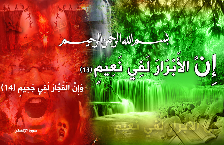  bntpal.com_145509540