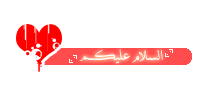   bntpal.com_145510757