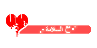   bntpal.com_145510757