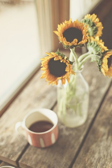 bntpal.com_145528369