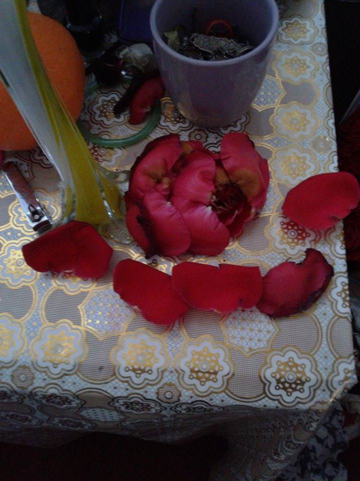 bntpal.com_145534916