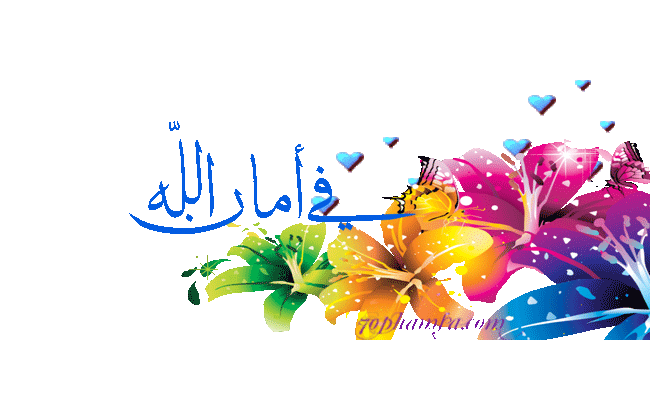 الحيوآنْ bntpal.com_145536565