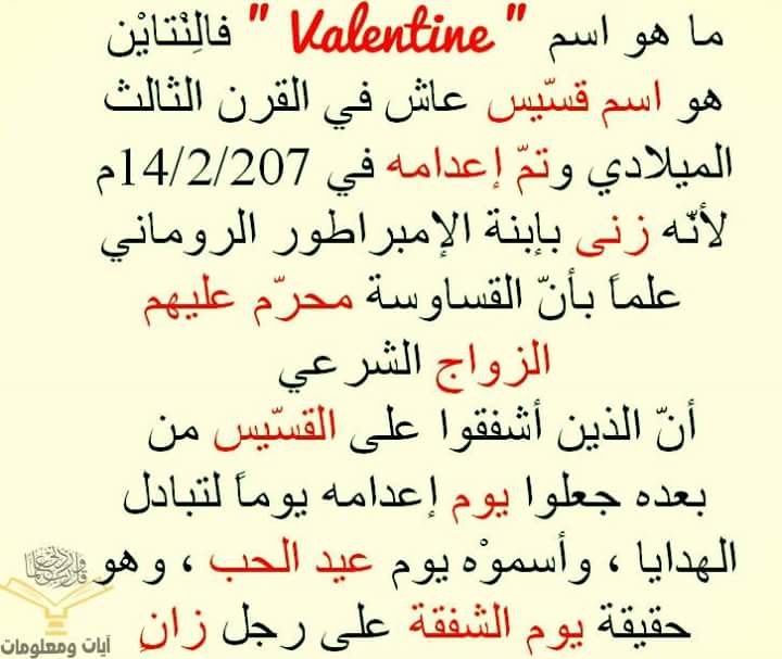  bntpal.com_145538597