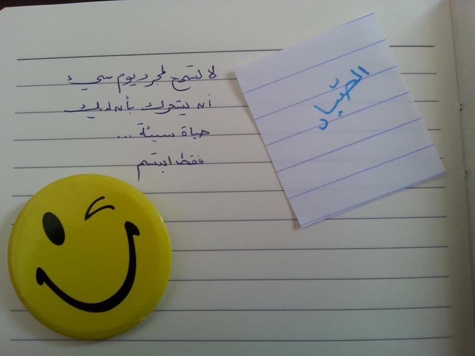 bntpal.com_145545739