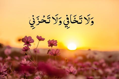   bntpal.com_145556290