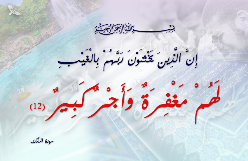 bntpal.com_145571538