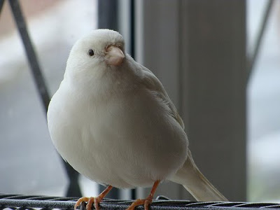  ☺ bntpal.com_145596372