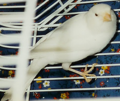  ☺ bntpal.com_145596372