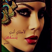 bntpal.com_145607956