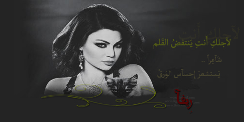 bntpal.com_145607956