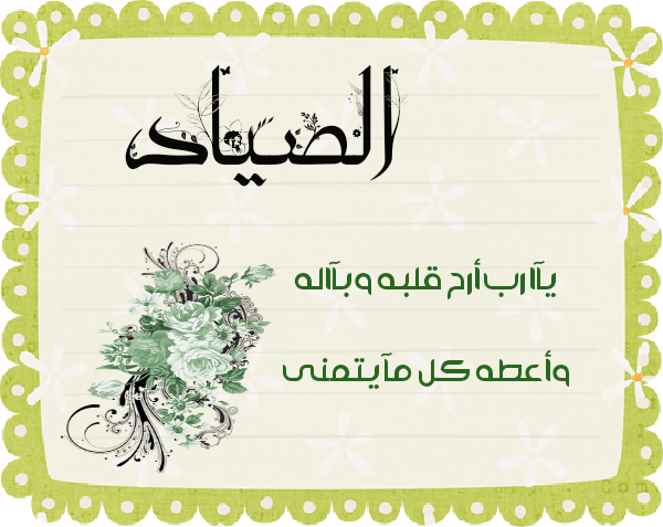 bntpal.com_145615331