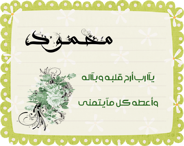 bntpal.com_145615331