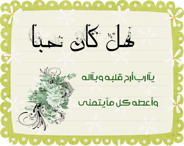 bntpal.com_145615331