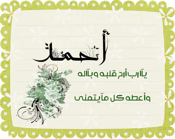 bntpal.com_145615331