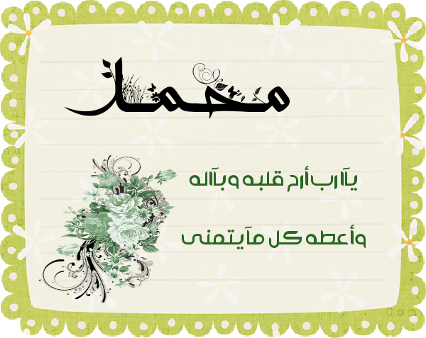 bntpal.com_145615331