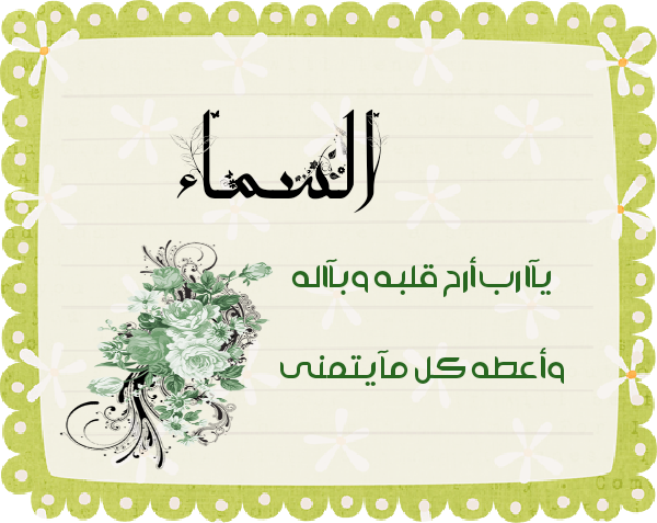 bntpal.com_145615331