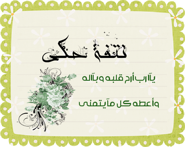 bntpal.com_145615331