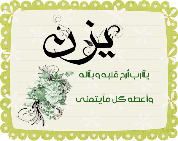 bntpal.com_145615331