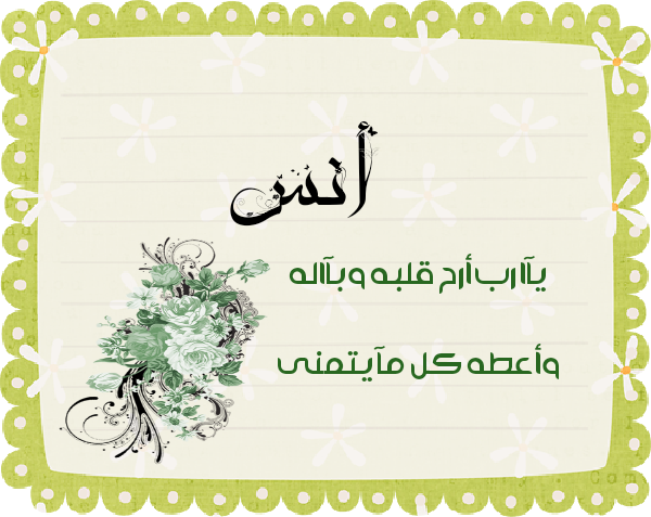 bntpal.com_145615345