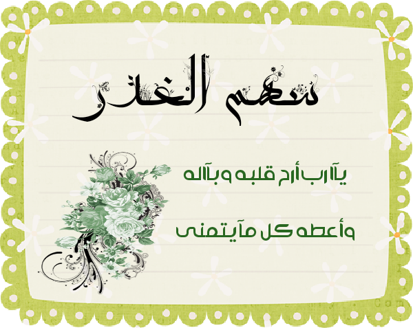 bntpal.com_145615345