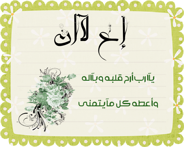 bntpal.com_145615370