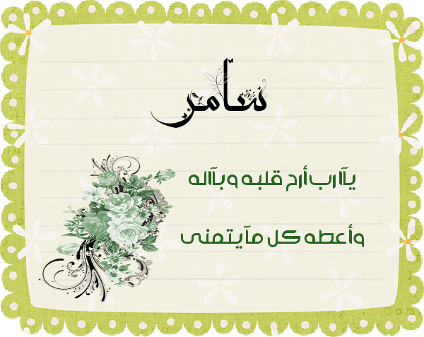 bntpal.com_145615438