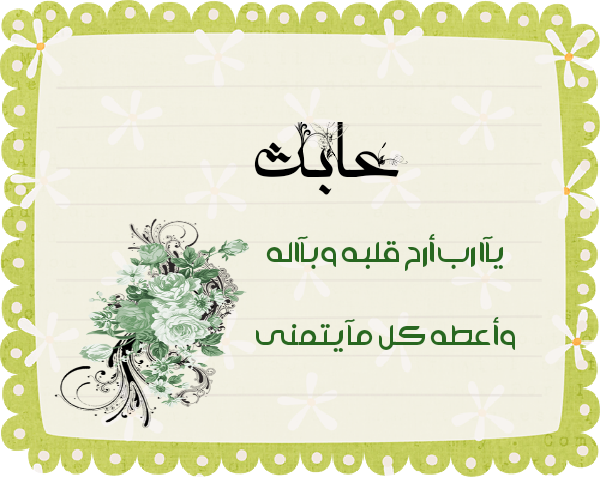 bntpal.com_145615578