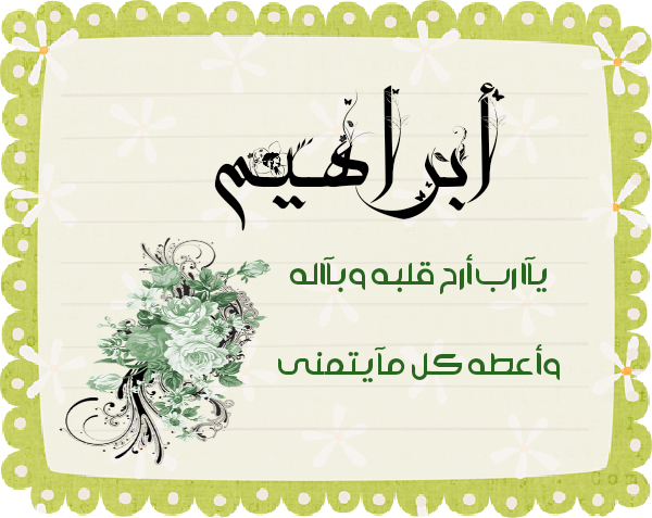 bntpal.com_145615578
