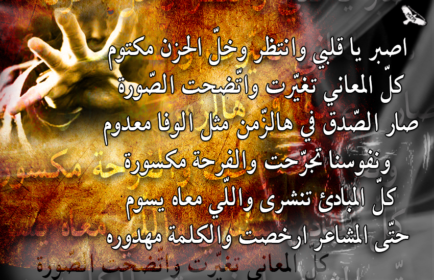 bntpal.com_145631119