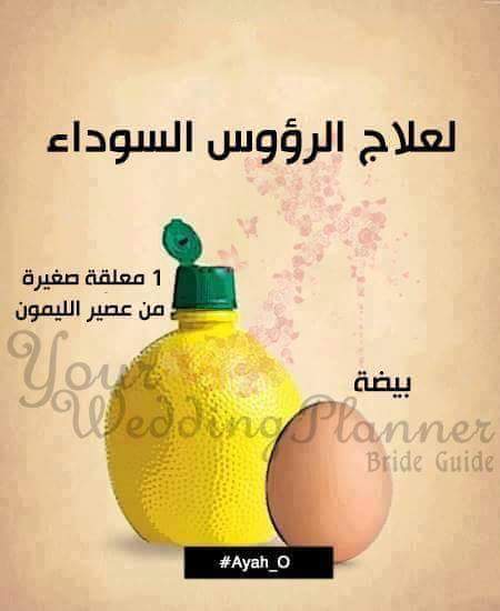 bntpal.com_145642568
